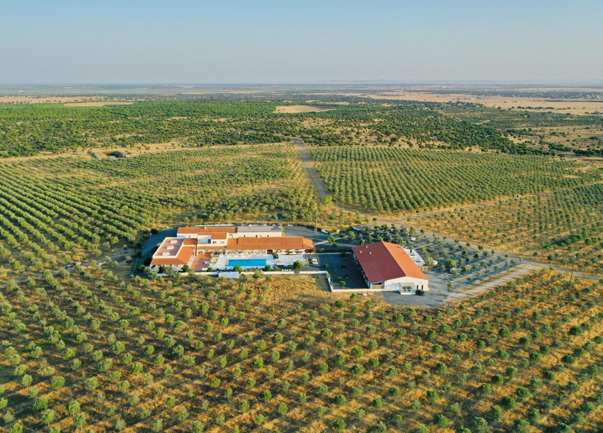 Sesmarias & Alojamento de Turismo Rural *